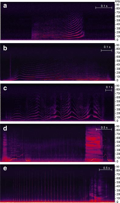 Spectrogram Examples Of Call Types And Click Series A Non Inflected