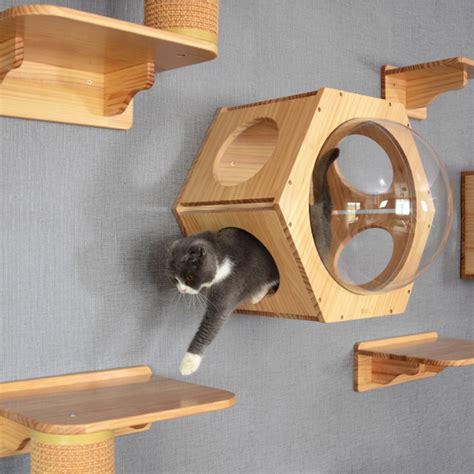 Solid Wood Wall Mounted Hexagon Space Capsule Cat Climbing Frame Wall