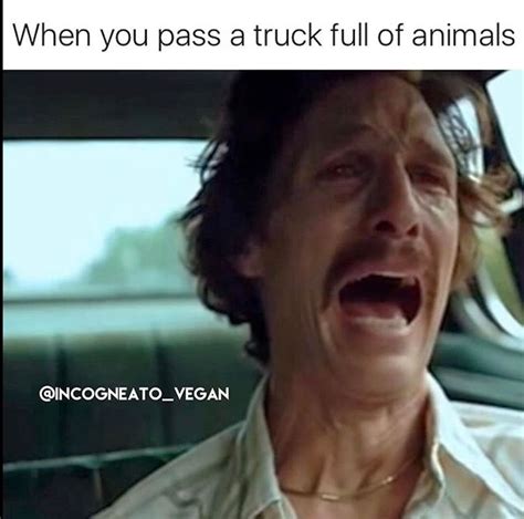 About Right Truck Heading To The Slaughterhouse Poor Babies Go Vegan