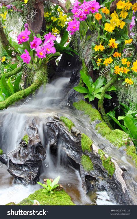 Beautiful Flowers And Waterfall Stock Photo 57689125