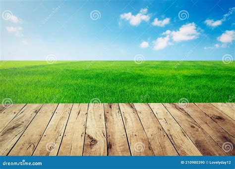 Top Empty Wood With Green Grass And Blue Sky Background Stock Photo