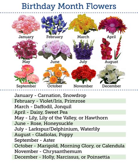 More extravagant and larger hummingbird tattoos may cost around $150 to $250. Primroses: The First Rose of Spring