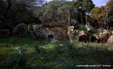 Il mondo delle piante sulla terra esistono circa 350.000 specie di piante , diverse fra loro per forma, dimensione, abitudini di vita. tutte le piante hanno in comune tre caratteristiche : Pin di salvatore loi su Tombe dei Giganti Giant Tombs in ...