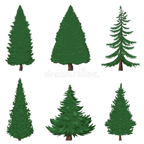 Vector Set Of Cartoon Pine Trees On White Background Stock Vector