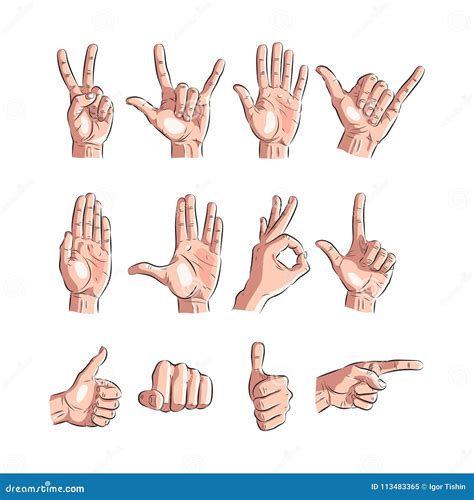 Set Of Hands Showing Different Gestures Vector Illustration Stock