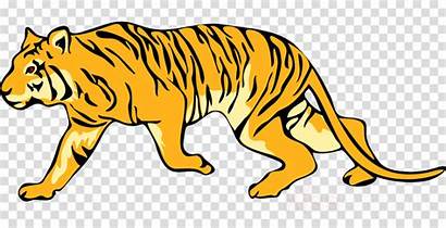 Tiger Clipart Background Bengal Clip Transparent China
