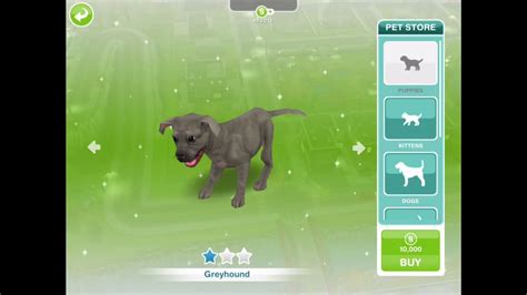 Sims Freeplay More Than 2 Pets Cheat Still Works Youtube