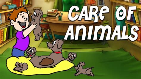 How To Take Care Of Animals Pre School Learning And Kids Education