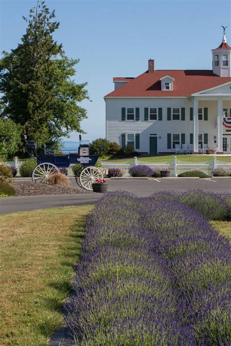 Washington Lavender Farm