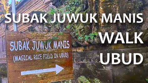 When You Do The Subak Juwuk Manis Walk Ubud Youtube