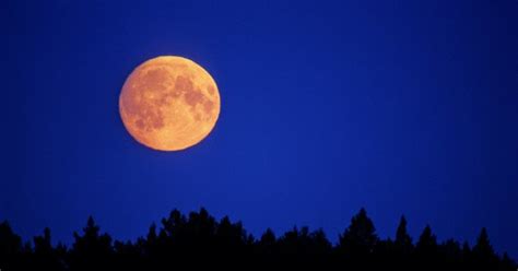 8 Ways To Harness The Power Of The Full Moon And End The Year On Your