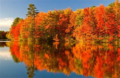 Other Autumn Colours Algonquin Park Ontario