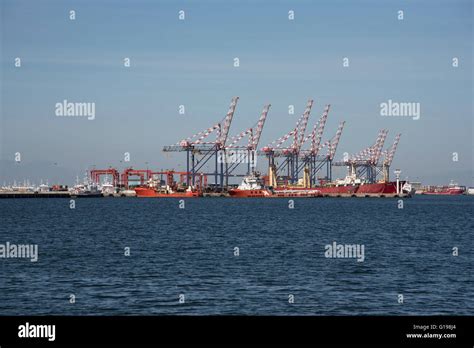 Port Of Cape Town South Africa The Gantries Of The Container Port In