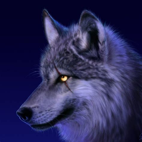 10 Best Cool Wolf Wallpaper Hd Full Hd 1920×1080 For Pc