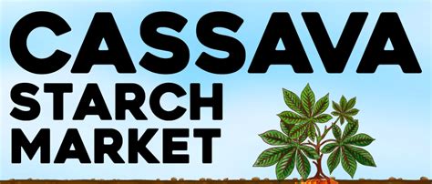 Cassava Starch Market Size Share Global Forecast 2026