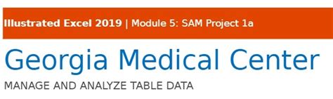 Solved Illustrated Excel Module Sam Project La Georgia Medical Course Hero