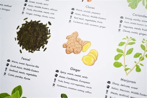 Herbs And Spices Guide Poster A4a3a2 Kitchen Print Food Etsy Uk