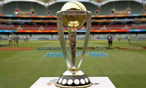 Icc World Cup Trophy Ever Wondered Where It Is Kept After A Team Wins