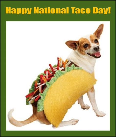Happy National Taco Day Tacos Are Loved And Eaten By Millions Each Day