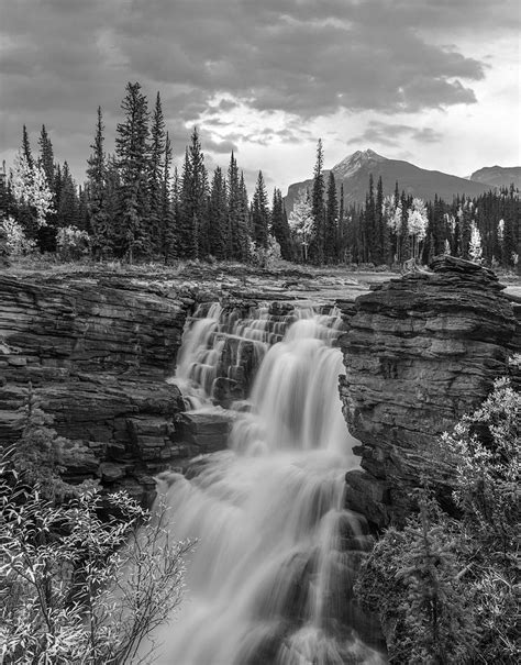 Athabasca Falls Jasper National Park 1 Photograph By Tim Fitzharris