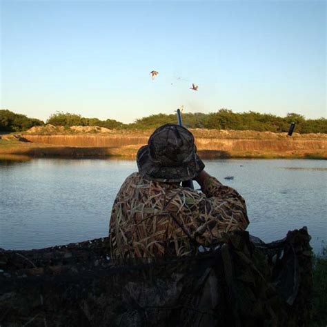 1 Best Argentina Duck Hunting Low Cost Duck Hunting Trips