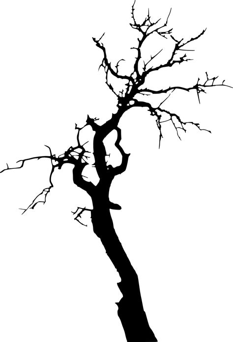 White Tree Silhouette Png
