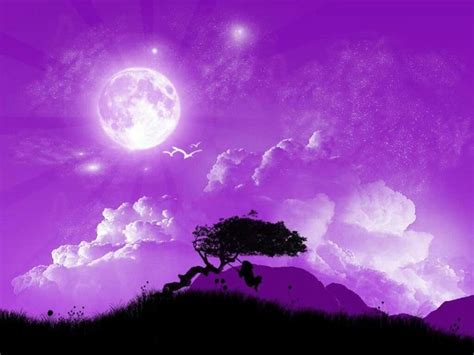 Pin By Tammy Frazier On 1 Purple N More Purple ♥ ♥ Purple Sunset