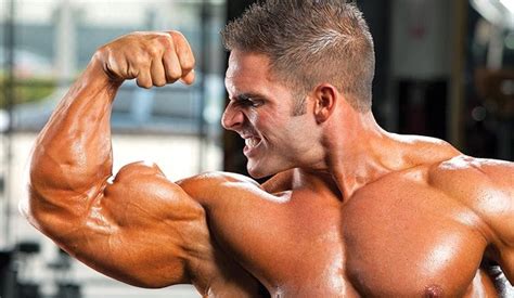 Body Building And Steroids The Five Basic Stipulations Of Proper