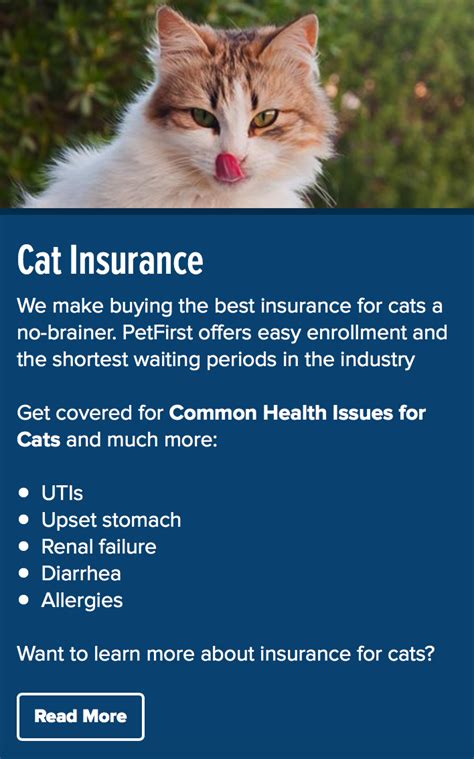 Obviously, cat insurance is still unpopular in the united states. Cat Insurance | Pet health insurance, Cat insurance, Pet insurance reviews