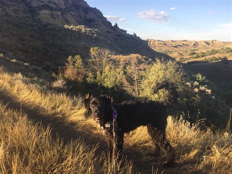 Sully Creek State Park | The Dyrt