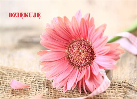 Kartki podziękowania (dziękuję)