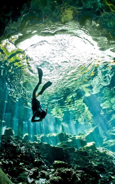Amazing Underwater Photography Mias World Pinterest