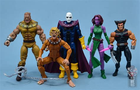 Marvel Legends Morph Figure Review Scale With Sabretooth