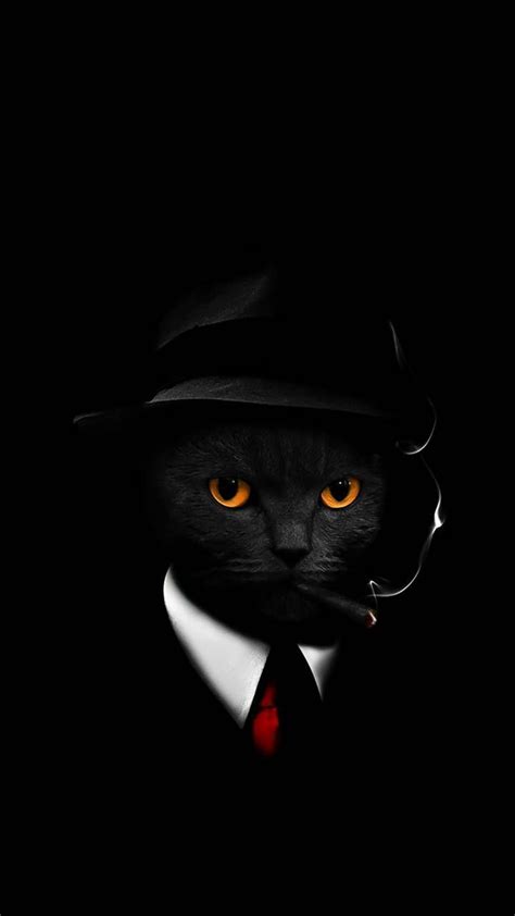 Download Cool Cat Wallpaper By Hende09 40 Free On Zedge™ Now