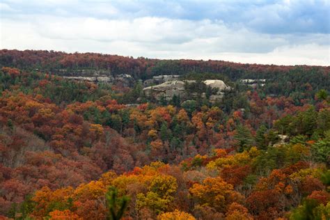 Best Time To See Kentucky Fall Colors 2022 When To See Roveme
