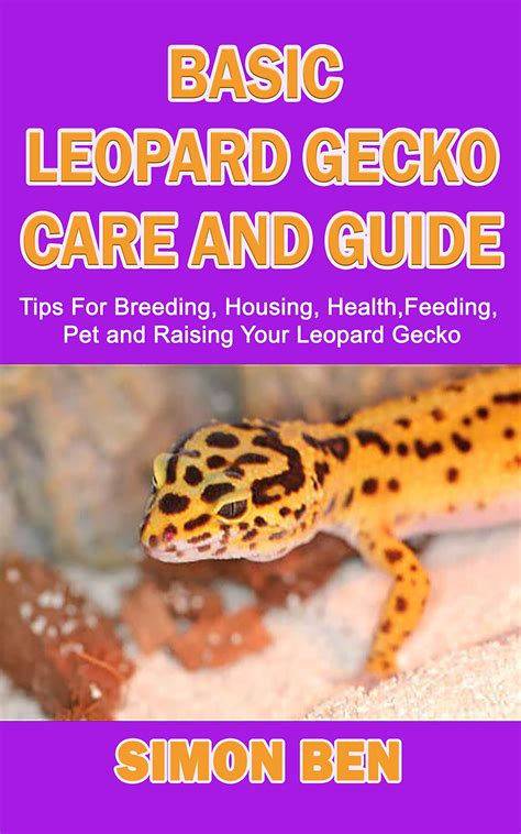 Basic Leopard Gecko Care And Guide Tips For Breeding Housing Health