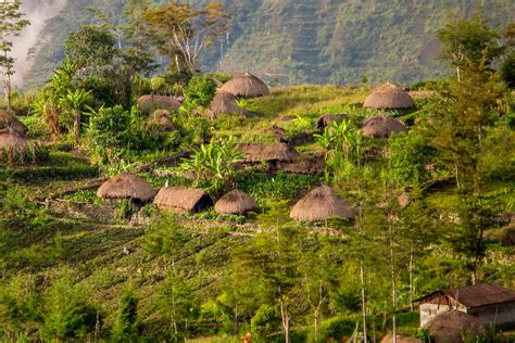 Tips Jalan Jalan Ke Wamena Di Papua