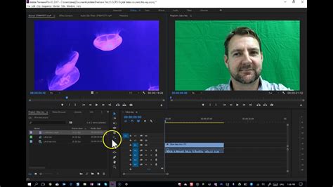Learn how to use the ultra key effect in adobe premiere pro to selectively make areas of a clip transparent, based on pixel color. Ultra Key effect made easy in Adobe Premiere Pro CC - YouTube