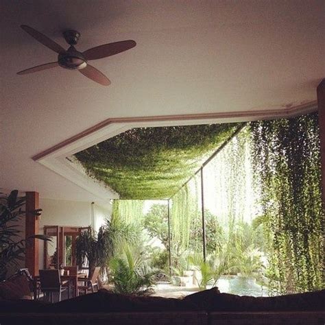 Image Result For Indoor Hanging Plants Roof House Design