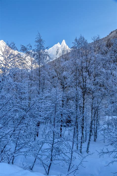 Beautiful Winter Landscape Free Stock Photo Public Domain Pictures