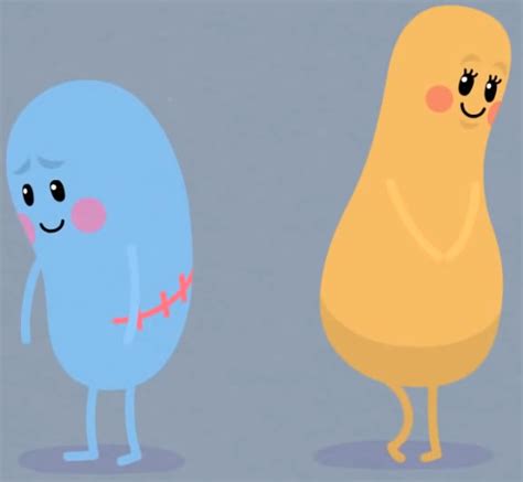 Image Buttonkidneypng Dumb Ways To Die Wiki Fandom Powered By Wikia