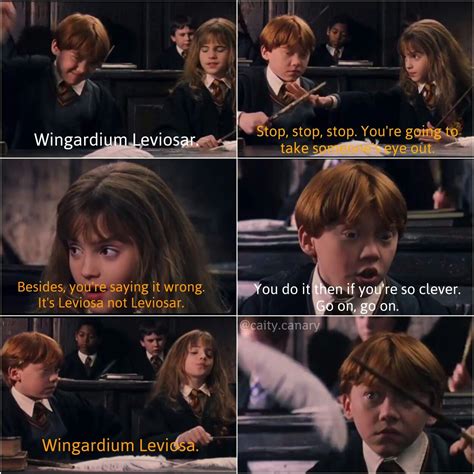 Meme Harry Potter Y Ron Memes Divertidos