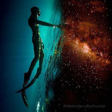 photo of the week a portal between two worlds by theunderwaterhunter more… ocean