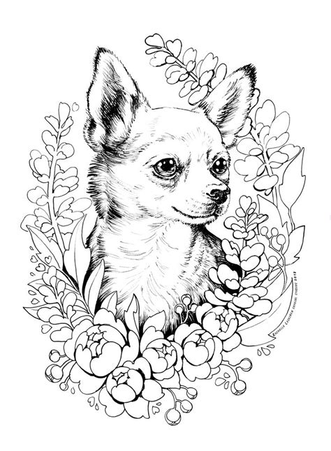 Chihuahua Printable Coloring Pages