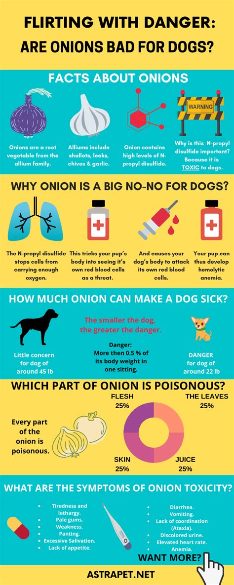 What Are The Symptoms Of Onion Poisoning In Dogs