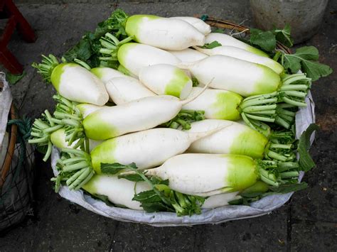 What Is Daikon Radish And How Is It Used