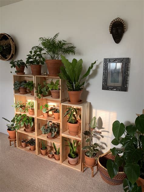 20 Plant Shelf Decorating Ideas