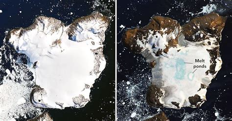 Antarctica Heatwave Melts 20 Percent Of Snow On Eagle Islands Ice Caps