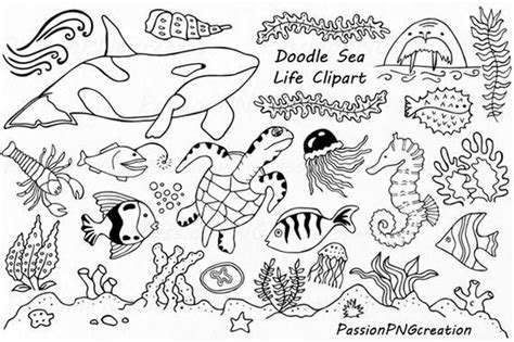 Doodle Marine Life Clipart Sea Life Clip Art Ocean Life Etsy Under