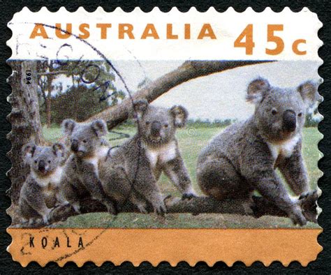 Koala Bear Australian Postage Stamp Editorial Photo Image Of